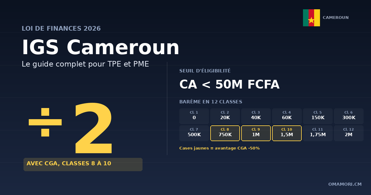 IGS Cameroun 2026 : le guide complet de l'Impôt Général Synthétique pour TPE et PME