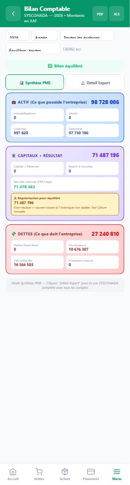 Bilan comptable SYSCOHADA équilibré