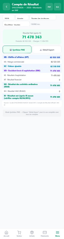 Compte de résultat SYSCOHADA AUDCIF
